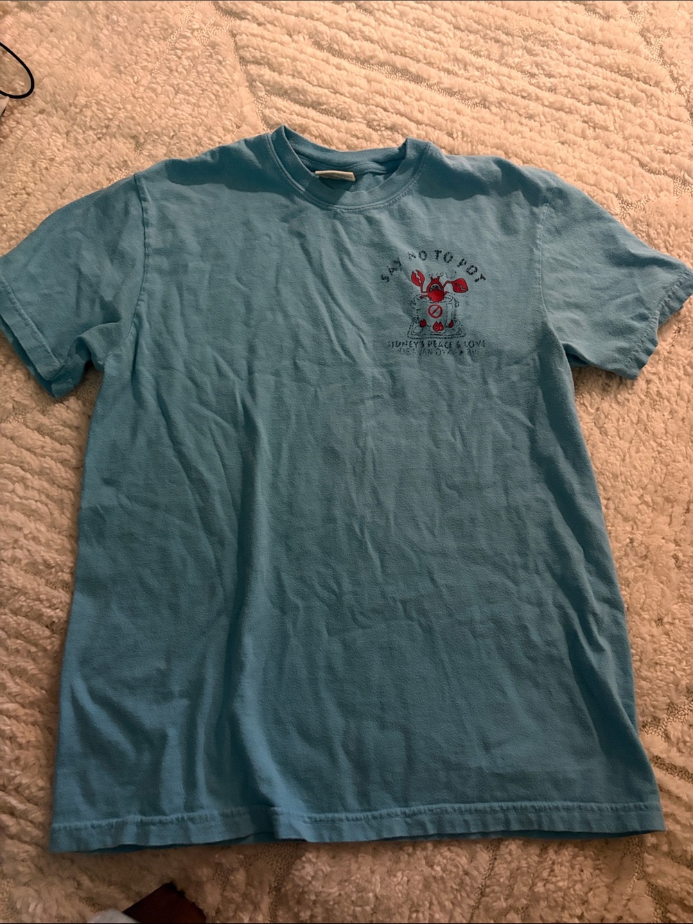 Comfort Colors Sky Blue Short-Sleeve Graphic Tee